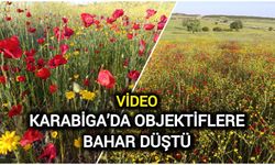 Karabiga’da objektiflere bahar düştü