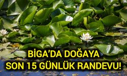 Çanakkale Biga’da doğaya son 15 günlük randevu!