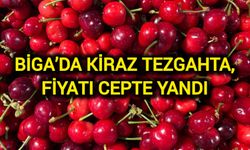 Biga’da Kiraz Tezgahta, Fiyatı Cepte Yandı