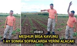Foterli Adam Müjdeyi Verdi: Biga Kavunları Yolda!