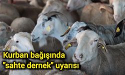 Kurban Sezonunda Dolandırıcılara Dikkat: Sahte Dernek Uyarısı