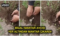 Bigalı Mantar Avcısı Yer Altından Mantar Çıkardı!