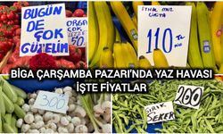 Biga Çarşamba Pazarı'nda Yaz Havası: İşte fiyatlar