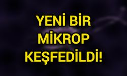 Yeni bir mikrop keşfedildi!