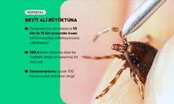 22 Yılda 819 Can Alan KKKA Hakkında Bilinmesi Gerekenler