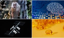 Yeni mikrop türünden fotoğraftan yaş analizine mayısın bilimsel gelişmeleri