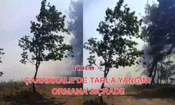 Çanakkale’de tarla yangını ormana sıçradı!