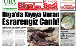 Çanakkale Biga'nın Sesi Gazetesi 11 Haziran 2025 Çarşamba