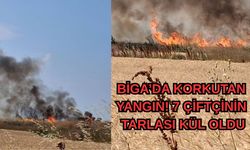 Biga’da Korkutan Yangın! 7 Çiftçinin tarlası kül oldu