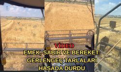 Çanakkale Biga’da Gerlengeç tarlaları hasada durdu