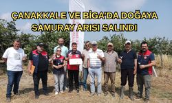 Çanakkale ve Biga’da doğaya samuray arısı salındı