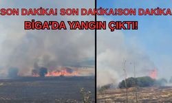 Çanakkale Biga’da yangın çıktı!