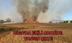 Biga’da ekili arazide yangın çıktı!