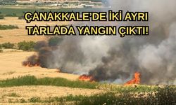 Çanakkale’de iki ayrı tarlada yangın çıktı!