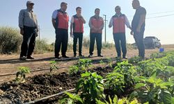 Çanakkale Tarımı İçin Biga’da Yoğun Mesai