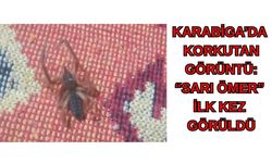 Karabiga’da korkutan görüntü: “Sarı Ömer” ilk kez görüldü