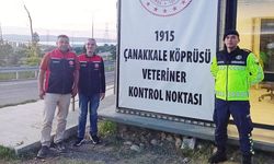 Çanakkale'de Kurban Bayramı Öncesi Şap Denetimleri Sıkılaştı