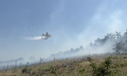 Çanakkale'de çıkan orman yangınından son gelişme