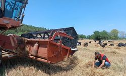 Gelibolu Tarım ve Orman Müdürlüğü biçerdöver denetimlerini sıklaştırdı