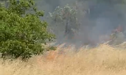 Biga-Çanakkale Yolunda  Yangın