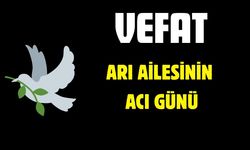 Arı Ailesinin Acı Günü