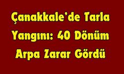 Çanakkale’de Tarla Yangını: 40 Dönüm Arpa Zarar Gördü