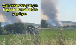 Çanakkale’de yangın başladı ilk müdahale yapılıyor