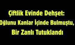 Çiftlik Evindeki Şüpheli Ölümde Bir Zanlı Tutuklandı