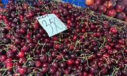 Biga’da bu fiyatlarla meyve sepeti hayal oldu!