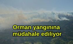 Orman yangınına müdahale ediliyor