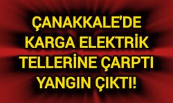 Çanakkale'de karga elektrik tellerine çarptı yangın çıktı!