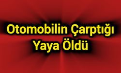 Otomobilin çarptığı yaya öldü
