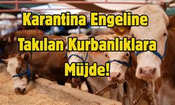 Karantina Engeline Takılan Kurbanlıklara Müjde!