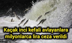 Kaçak inci kefali avlayanlara milyonlarca lira ceza verildi