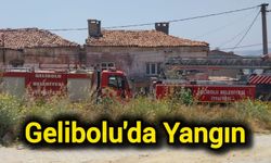 Çanakkale Gelibolu'da yangın