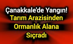 Çanakkale'de Yangın! Tarım arazisinden ormanlık alana sıçradı
