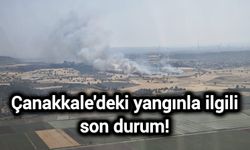 Çanakkale'deki yangınla ilgili son durum!