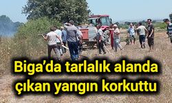 Biga’da tarlalık alanda çıkan yangın korkuttu