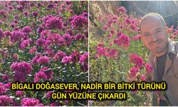 Bigalı Doğasever, Nadir Bir Bitki Türünü Gün Yüzüne Çıkardı