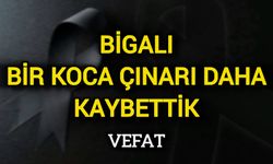 Bigalı Bir Koca Çınarı Daha Kaybettik