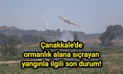 Çanakkale'de ormanlık alana sıçrayan yangınla ilgili son durum!