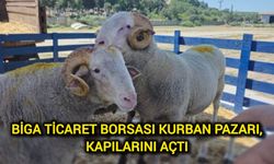 Biga Ticaret Borsası Kurban Pazarı, kapılarını açtı