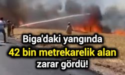 Biga'daki yangında 42 bin metrekarelik alan zarar gördü!