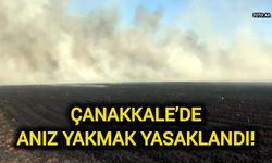 Çanakkale’de Anız Yakmak Yasaklandı!