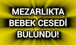 Mezarlıkta Bir Bebeğin Cansız Bedeni Bulundu!