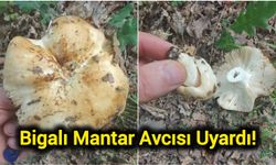 Bigalı Mantar Avcısı Uyardı!