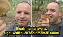 Bigalı mantar avcısı, çiğ tüketilebilen nadir mantarı tanıttı