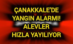 Çanakkale’de Yangın Alarmı: Alevler hızla yayılıyor