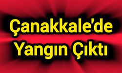 Çanakkale'de yangın çıktı