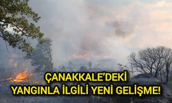 Çanakkale’deki Yangınla İlgili Yeni Gelişme!
